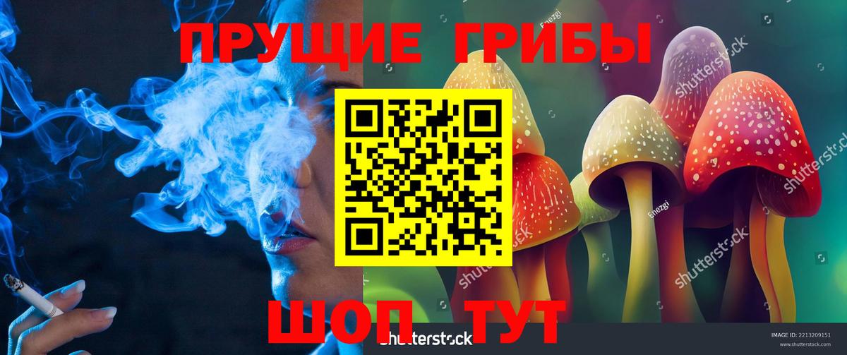 Галлюциногенные грибы MAGIC MUSHROOMS  Вход с VPN  Кемерово 